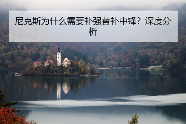 尼克斯为什么需要补强替补中锋？深度分析